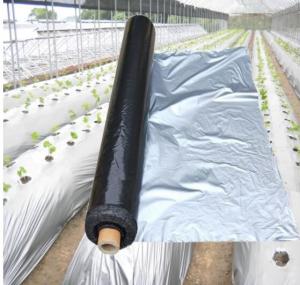China Width 20-2300mm Apple Tree Flective Agriculture Metalized CPP Film wholesale