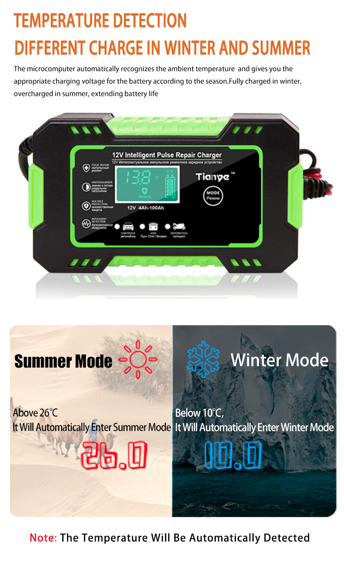 OEM GEL UPS Battery Intelligent Pulse Repair Charger 12V
