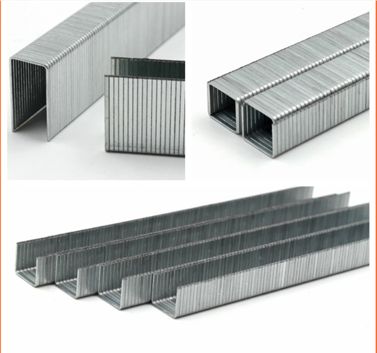 Staples 80 Staple 80 Series Staple 21Gauge Galvanized Nails Fine Wire Staples Sofa 80 Staple Pin 800