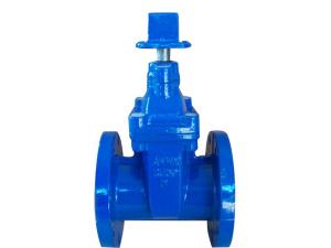 China (ANSI) Cast Iron Gate Valve Flanged Ends wholesale