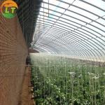 High Strength Solar Agricultural Greenhouses with Easy Assembly and Greenhouse