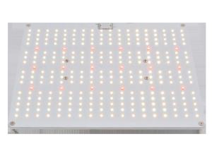 China Igrowbio 100W Full Spectrum LED Grow Lights wholesale