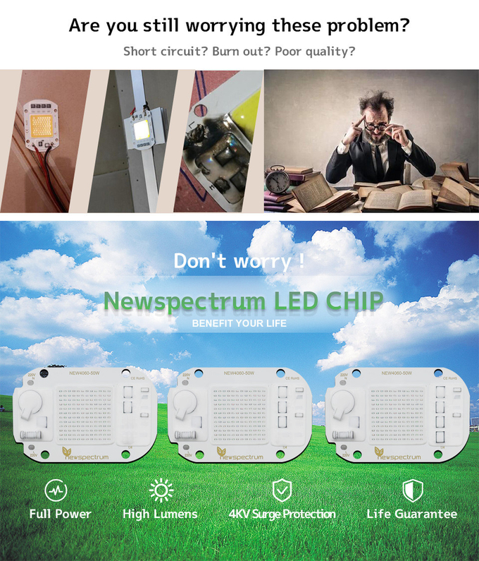 6500K 20W Chip LED COB Nature Cold Blue Red For Landscape Lighting