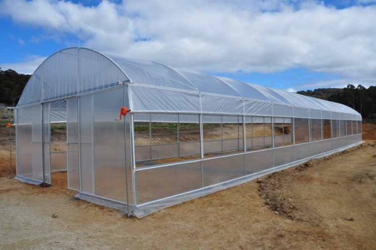 Single Span PE Film Greenhouse TUV Low Cost Poly Tunnel Greenhouse