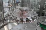 Double Head Liquid Bottle Filling Machine Rotary Volumetric Bottle