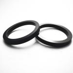 OEM ODM Graphite Sealing Ring