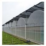 Anti Drip Plastic Film Greenhouse Light Transmission 80%-90%
