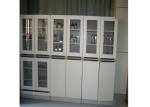 Tall Storage Pharmaceutical Storage Cabinet 2 Door Lab Vessel Cabinet