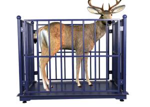 China 3000kg Livestock Scales For Cattle , 60HZ Sheep Weighing Scales wholesale