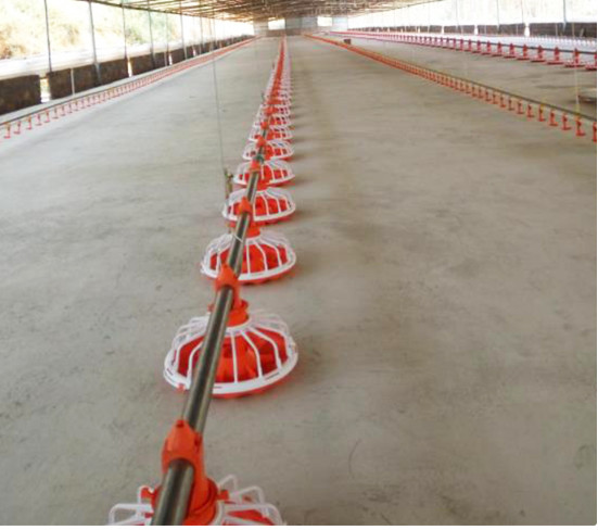 Drip Cup 4mm Automatic Drinking System For Poultry House Accessories