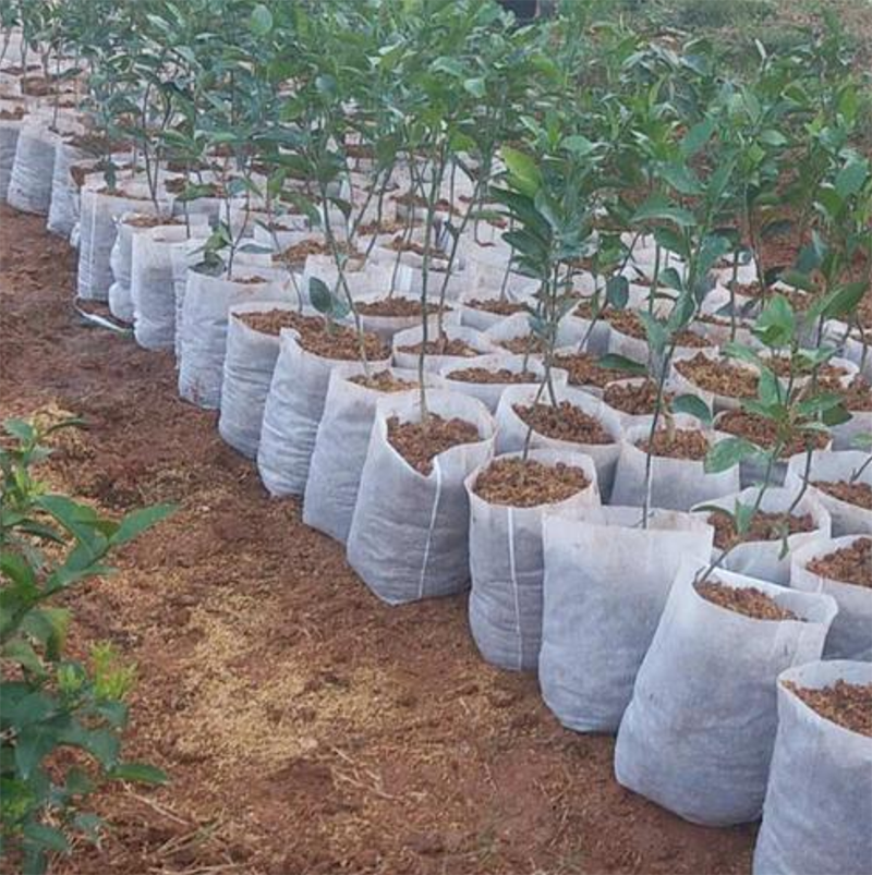 Handbag Technology Spunbond Non Woven Fabric Perfect for Agricultural Packaging Bags