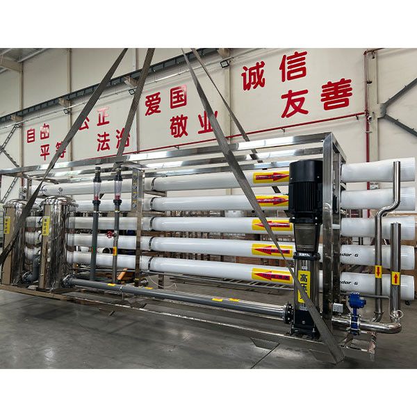 Cost Efficiency 30 Tons Purified Water Filter System For Food Factory Ro Water Treatment Machine