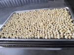 800kg/H Blast Tunnel Freezer
