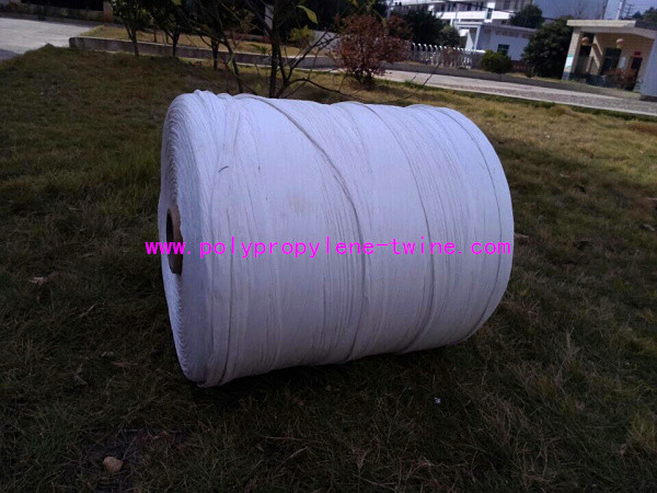 Regular Common Cable PP Filler Yarn