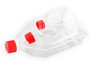 China 100% PP Cell Culture Flask For Cytology Laboratory Culture Products wholesale