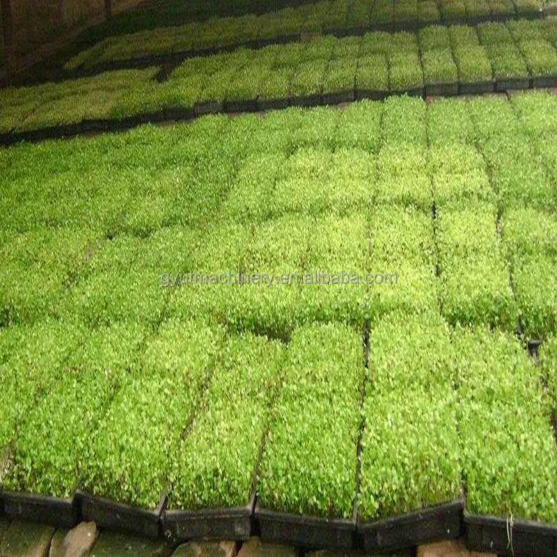 1140*850*1050mm Microgreens Seeder and Top Coater Machine for Accurate Seed Cultivation