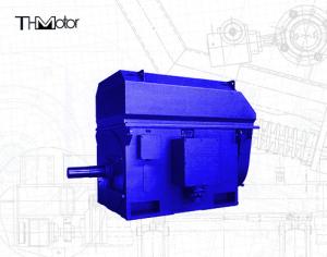 China Long Lifespan High Voltage AC Motor Air Cooled For Industrial Needs wholesale