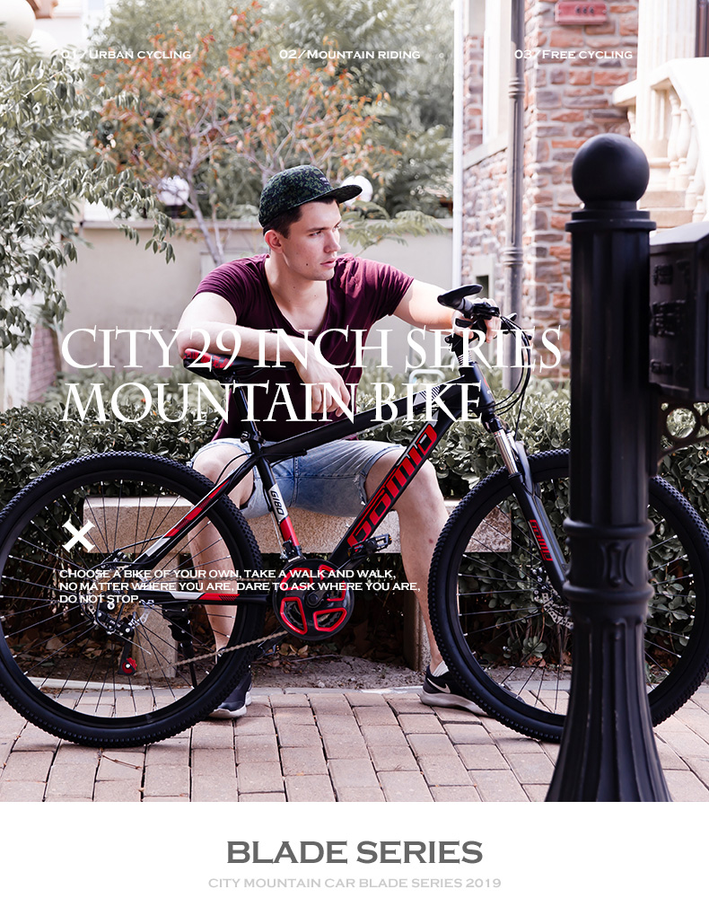 29 Inch Mountain Bike Customizable OEM Mountain Bicycle For Comfortable Riding Experience