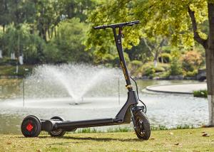 China 250W 3 Wheel E Scooter wholesale