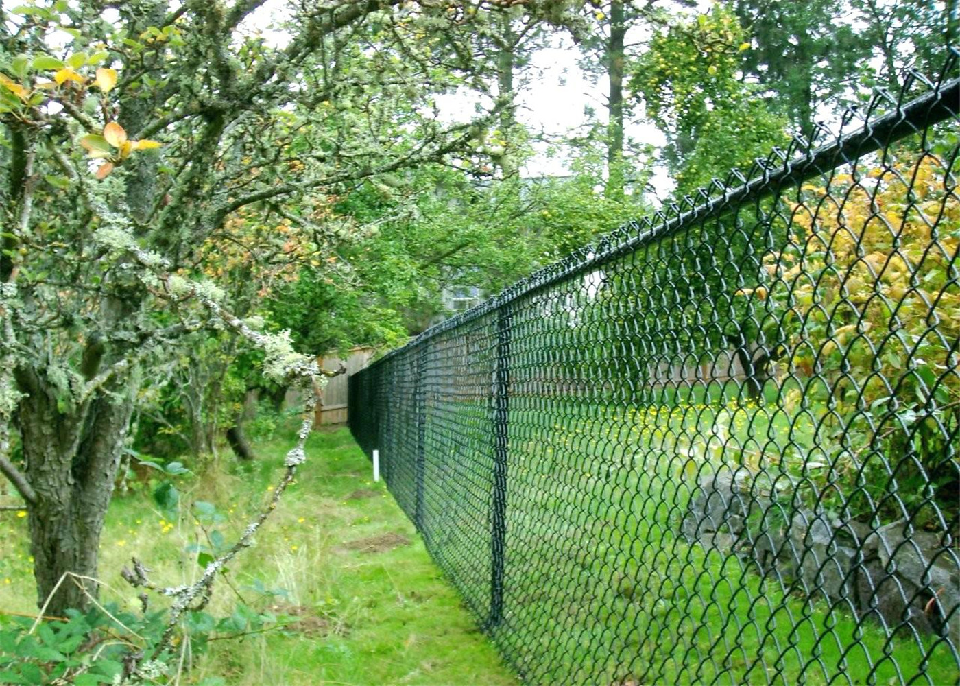PVC Coated Chain Link Fence Manufacturers China ,ence Supplied