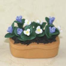 China Model Ceramic pot Flower CF49 wholesale