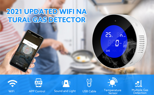 Ariza Lcd Digital Fixed Multi Gas Leak Detector , Gas Leak Sensor Alarm