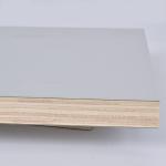 WBP Birch Plywood Sheet 12mm 15mm 18mm 21mm Plywood Template