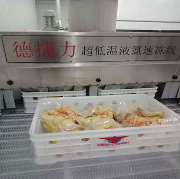ODM Iqf Machine For Fruits Vegetables Freezer Fresa Strawberry Cooling Quick Freezing Tunnel
