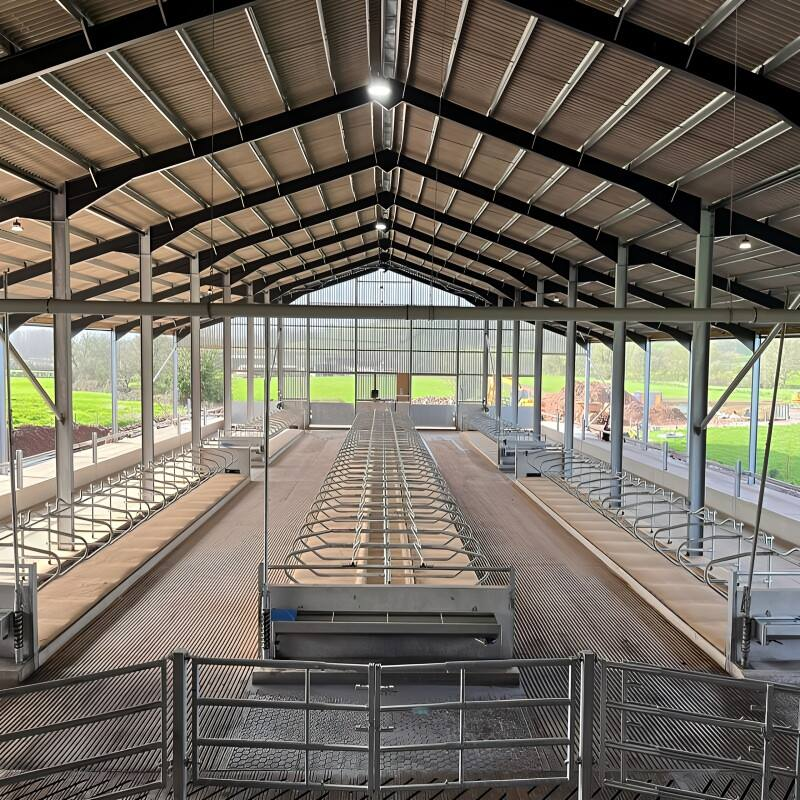 Light Steel Cow Farm Shed Prefab Livestock Farm Building
