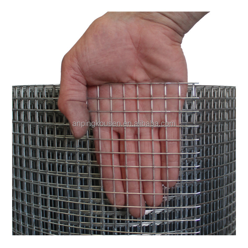 1mx30m Welded Mesh Cages for Chicken Galvanized and Pvc Coated Budget-friendly Choice
