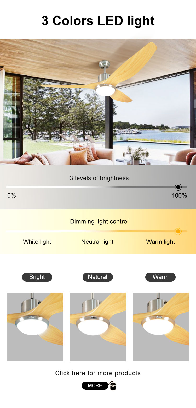 Modern Design 1stshine Ceiling Fan with ABS Plastic Blades and Remote Control Light