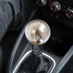 Universal Racing Dandelion Gear Shift Knob For Manual Vehicles