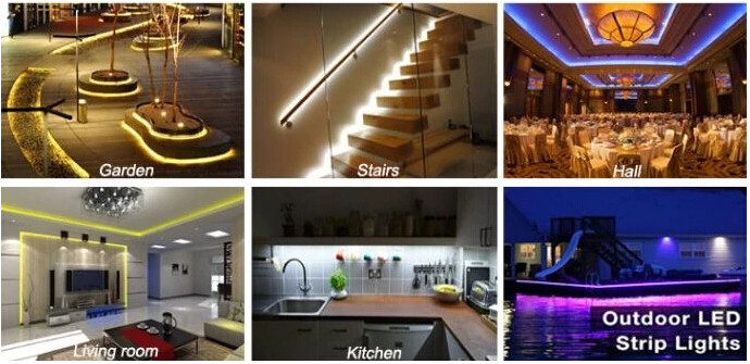 Fashion Design High Luminous Efficiency Series Flexible LED Strips CRI80 IP20 IP65