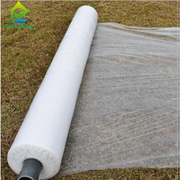 150 Micro Strawberry Greenhouse Cover Materials 88% Transmittance PE Plastic