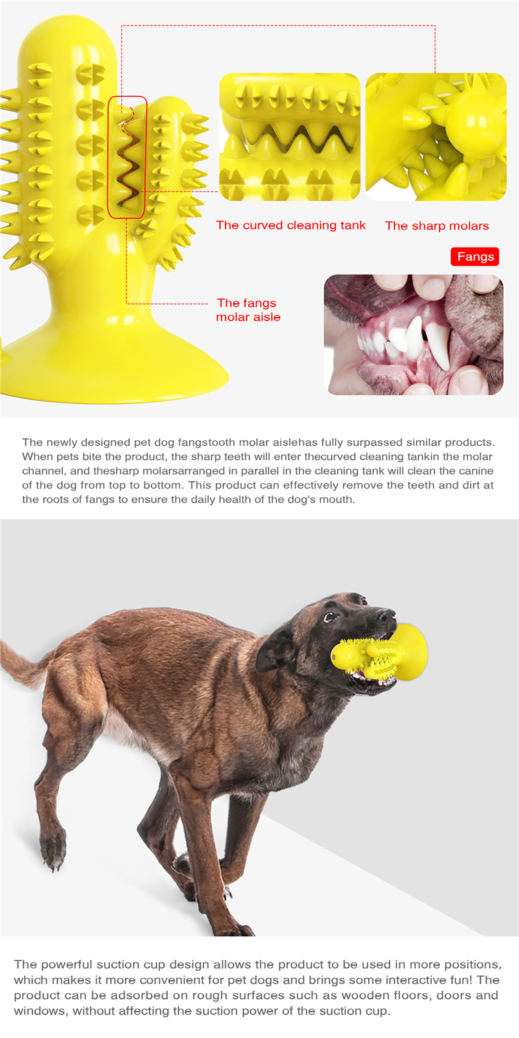 Cactus Shape Tooth Cleaning Cute Pet Toys Dog Bite Toy With Customized Service
