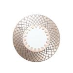 208772 - CLARK MICHIGAN / DANA SPICER - DISC FRICTION