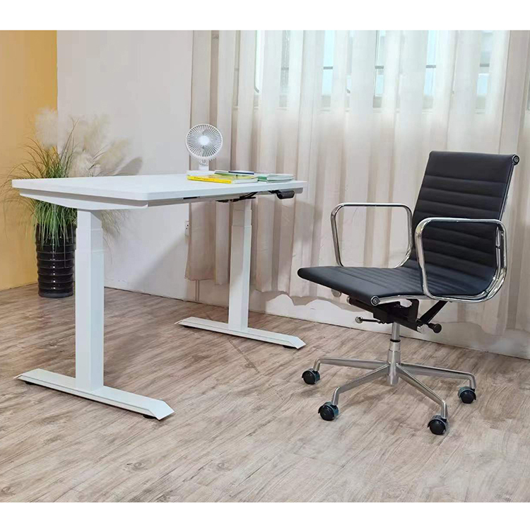 Electric Multifunction Dual Motor House Table Modern Nordic Study Desk for Children