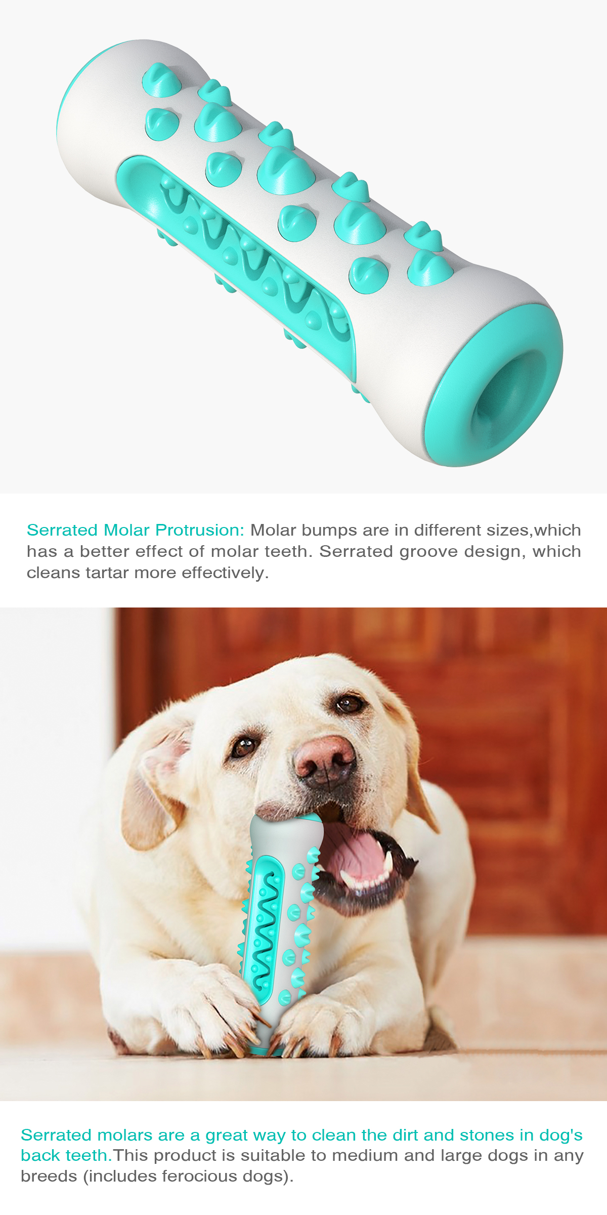 Multicolor Healthy TPR Cute Pet Toys Pet Dog Molar Stick Toy