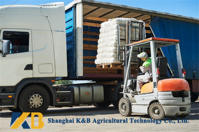 8% Full Fat High Protein Fish Meals Cattle Feed Products HACCP ISO SGS Certificate