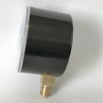 ABS Capsule Pressure Gauge Radial Mount 100 Mbar Bellows Manometer