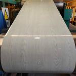 PPGI Prepainted Galvalume Steel Coil