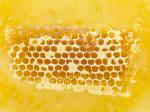 OEM ODM 19.5cm*41.5cm Beeswax Foundation Sheets For Bees