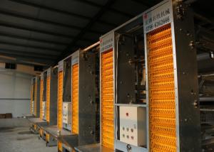 China High Technology Automatic Egg Collection System 15-20 Years Lifespan wholesale