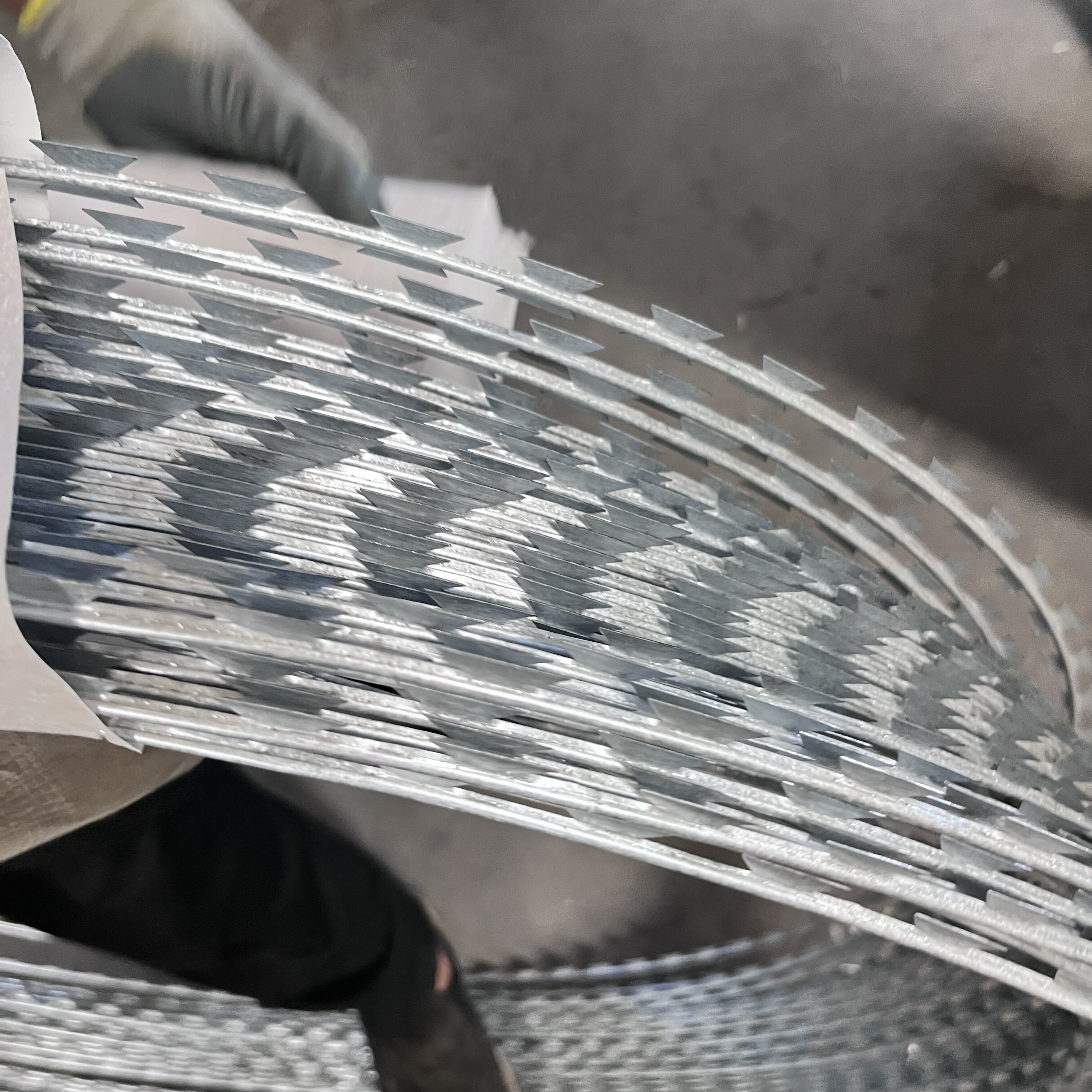 Straight Line Razor Barbed Wire In Concertina Single Coils Or Crossed