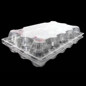 China 15packs Disposable PET Clear Plastic Egg Tray 71mm Square Egg Tray Holder wholesale