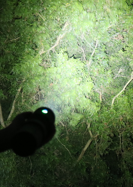 Flashlight Anti Drone Jammers Up To 300 Meters With 1000LM Strong Lighting
