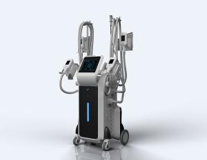 China Professional coolscupting cryolipolysis body slimming machine for sale wholesale