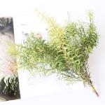 OEM 25cm Small Twig Melaleuca bracteata Dried Flower Bunches