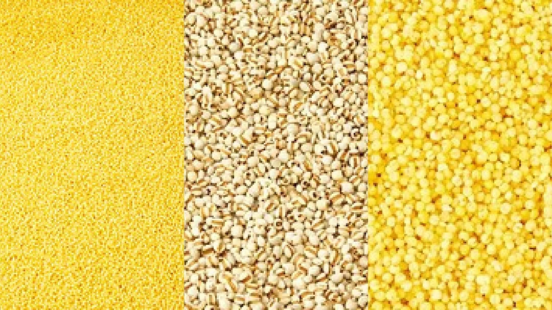 ISO9001 High Output Mini Millet Rice Colour Sorter Machine For Farmer