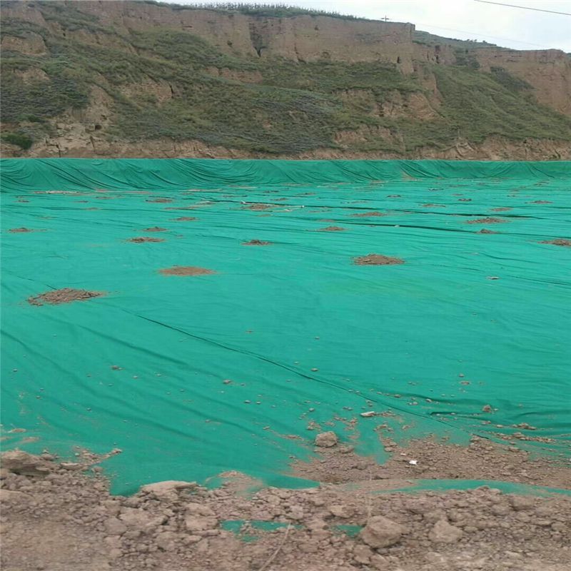 Geotextile Filtering Drainage Isolation High Strength Non-Woven Geotextile in Sell